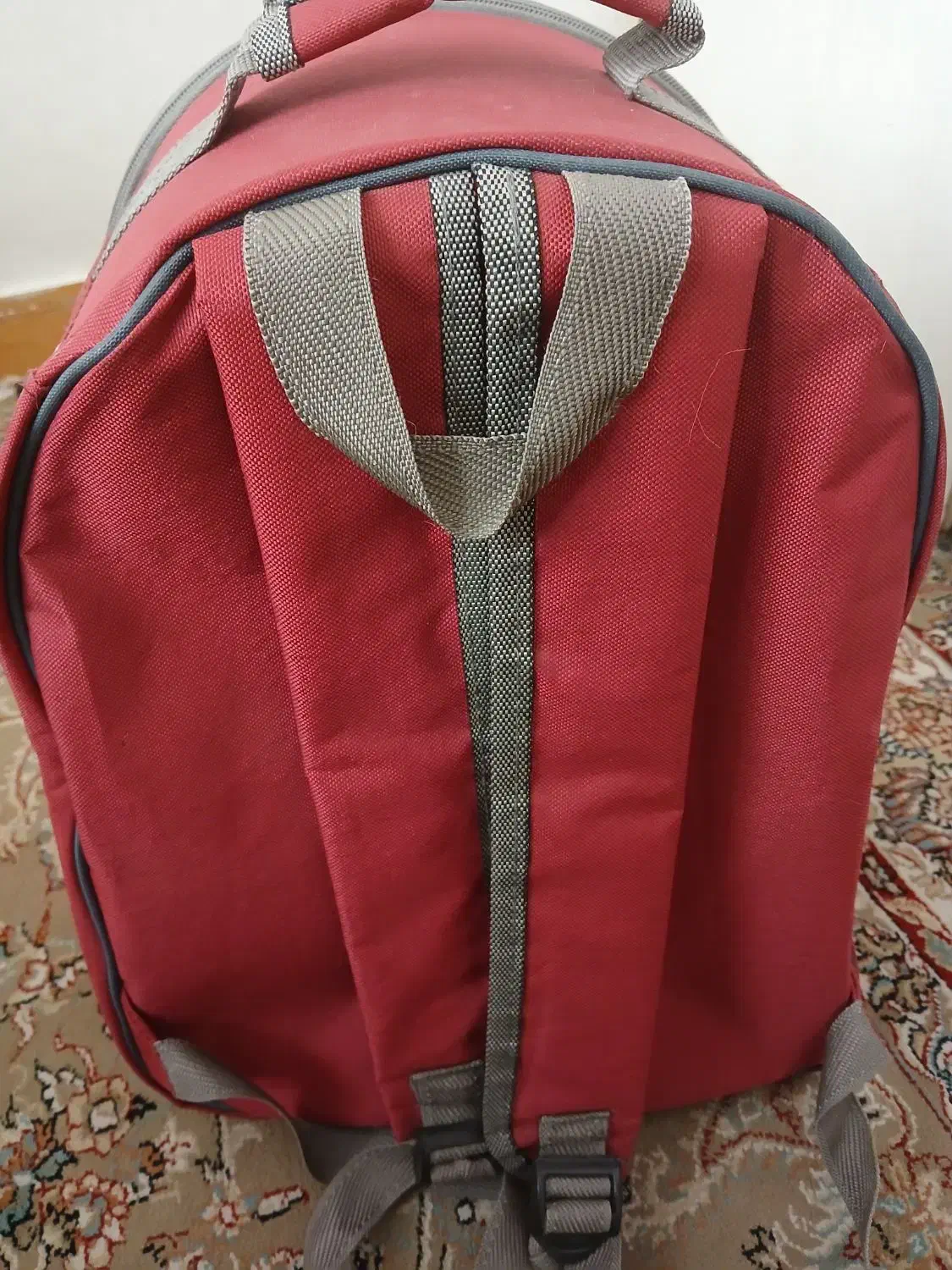 کیف حمل و نقل گربه|لوازم جانبی حیوانات|ری, حمزهآباد|دیوار