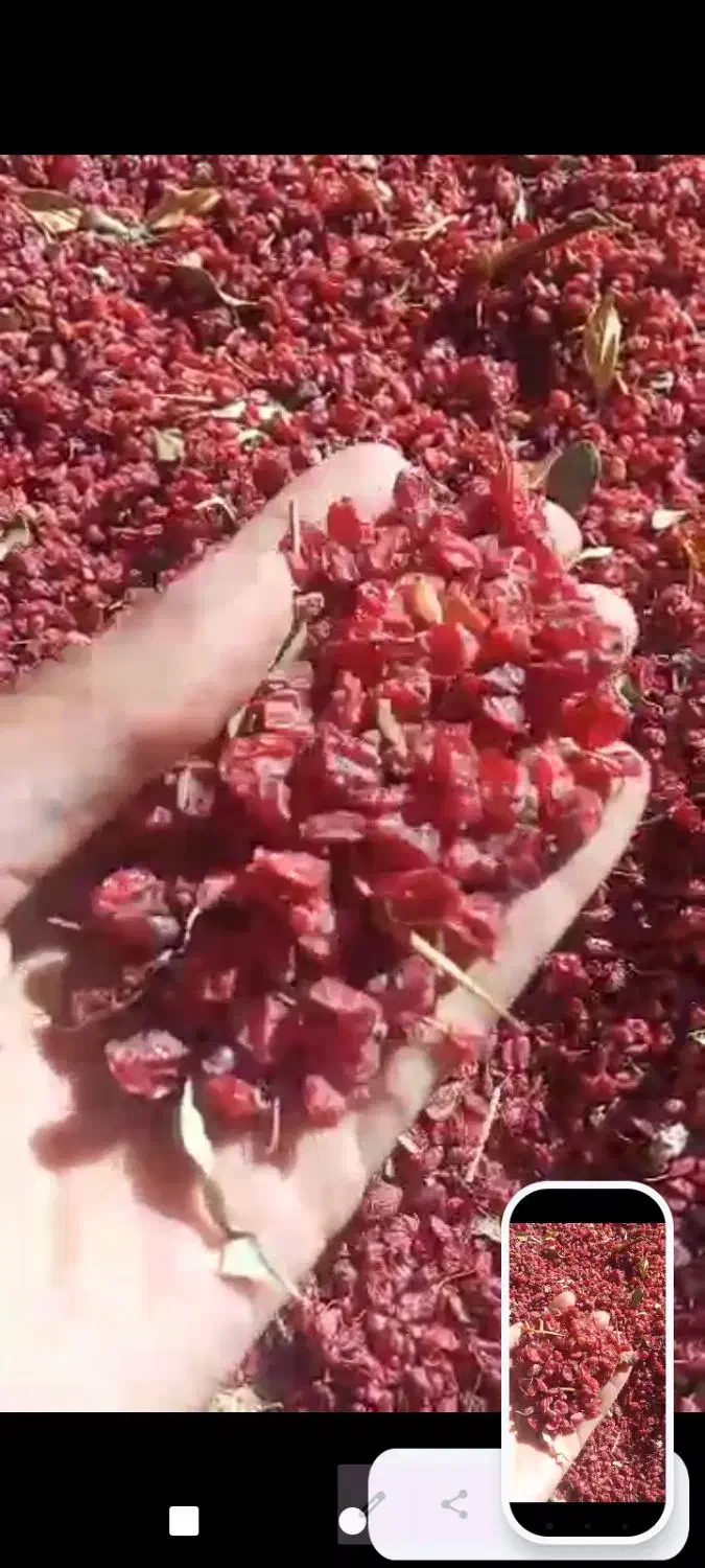 زرشک خشک فروشی|خوردنی و آشامیدنی|درمیان, |دیوار