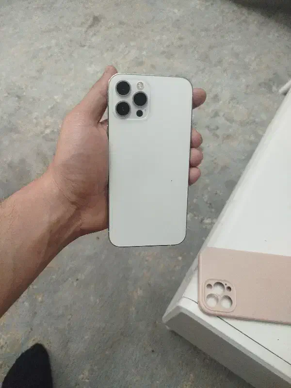 آیفون ۱۲ پرو مکس سالم و پلمپ|موبایل|پاکدشت, پاکدشت (مامازند)|دیوار