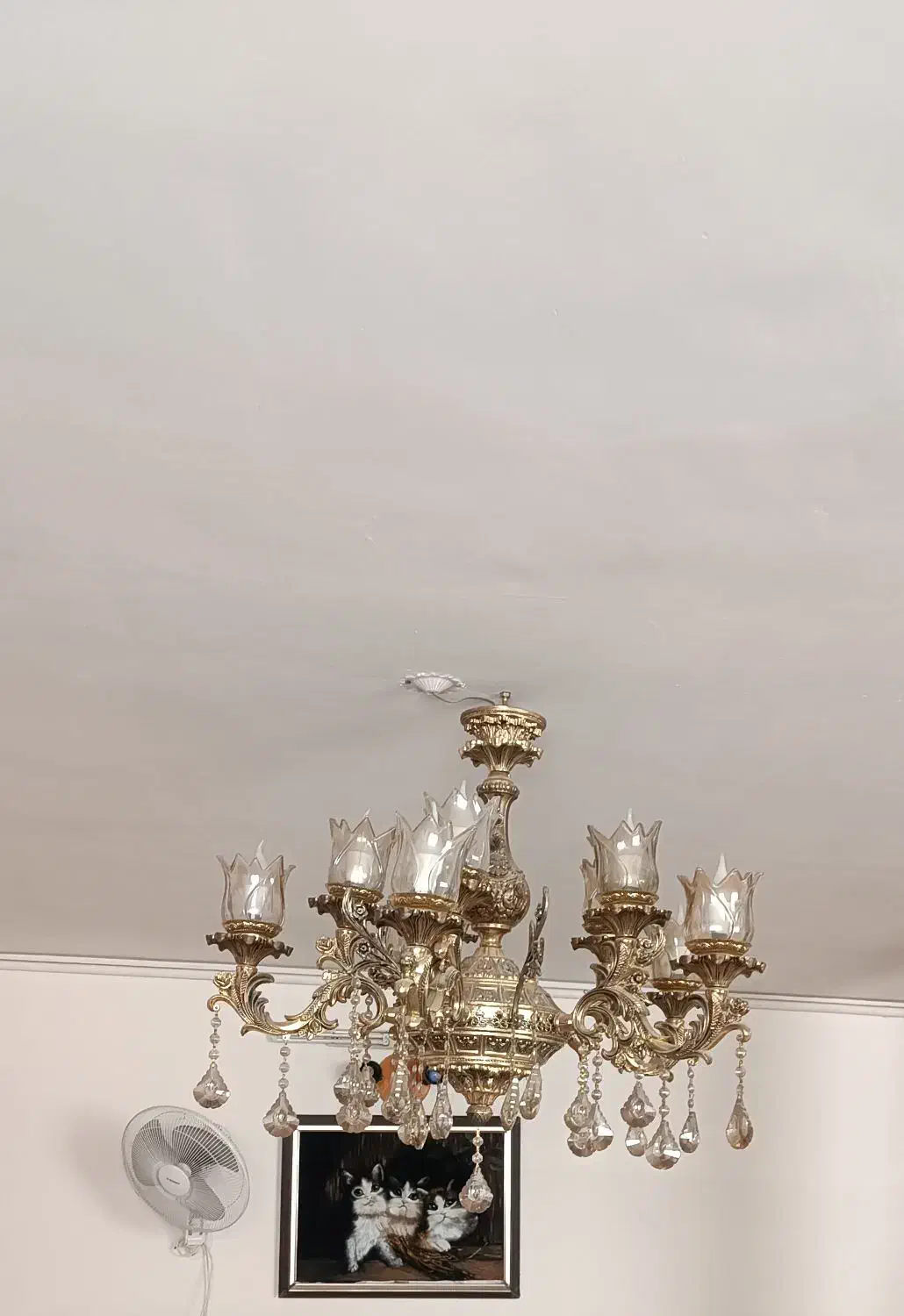 یک عدد لوستر 10 شاخه|لوستر و چراغ آویز|مشهد, فدک|دیوار