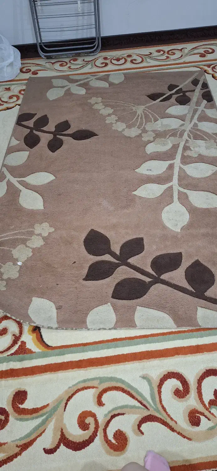 فرش و موکت|فرش|اهواز, شهرک دانشگاه|دیوار