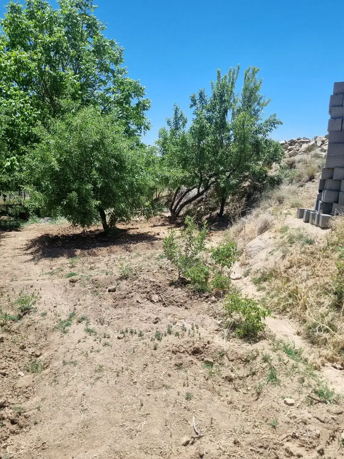 فروش زمین نیر|فروش زمین و ملک کلنگی|نیر (یزد), |دیوار