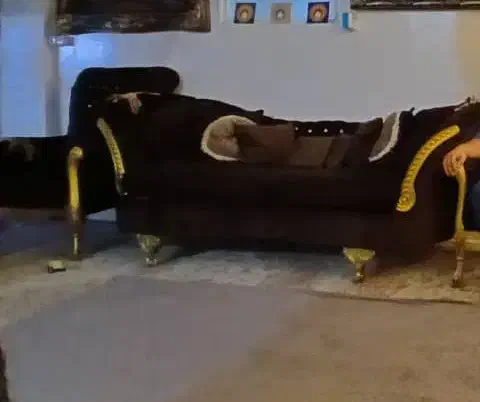 مبل ۷نفره سالم|مبلمان خانگی و میز عسلی|شیراز, شیشهگری|دیوار