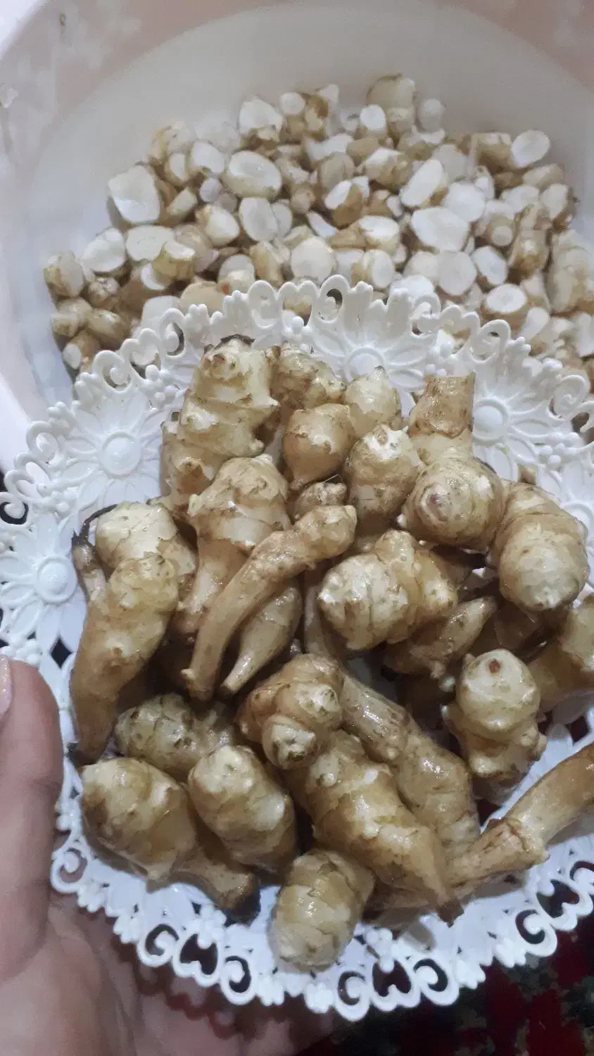 شلغم (یارالماسی)|خوردنی و آشامیدنی|کلاچای, |دیوار