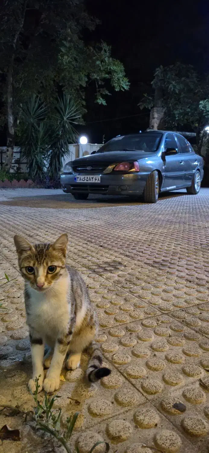 سیم کشی و ای سی یو ریو|قطعات یدکی و لوازم جانبی|گرمدره, |دیوار