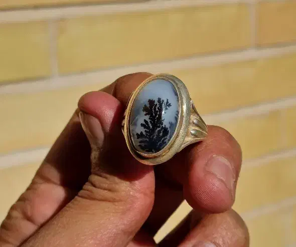 شجر تک درخت قائنات|جواهرات|یزد, |دیوار