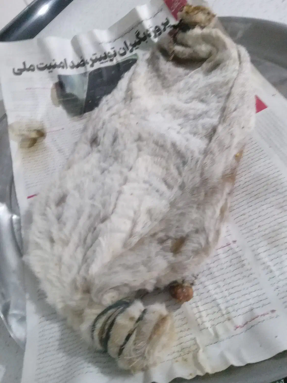 خیگ تمیز وخوش بو|صنایع دستی و سایر لوازم تزئینی|یاسوج, |دیوار