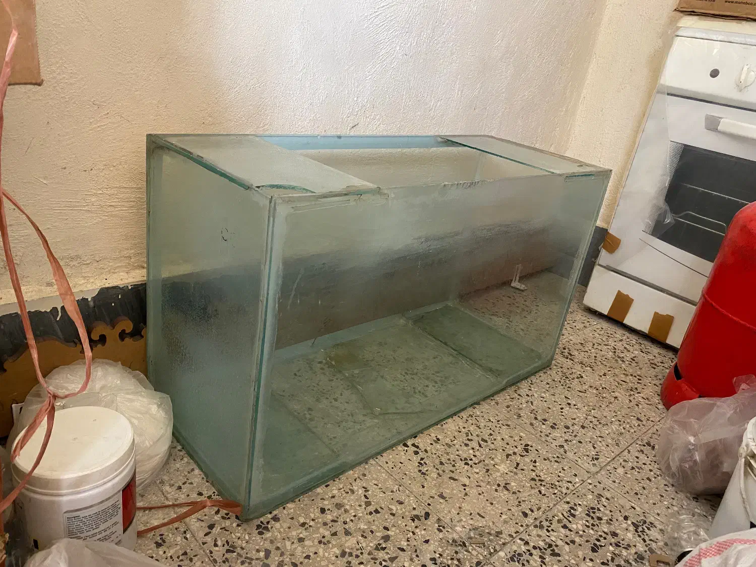 آکواریوم|ماهی|فولادشهر, C5|دیوار