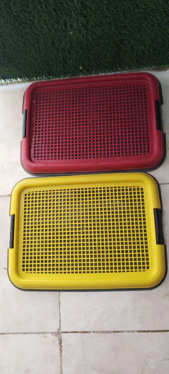 سینی دستشویی سگ سایزکوچیک|لوازم جانبی حیوانات|کرمان, |دیوار