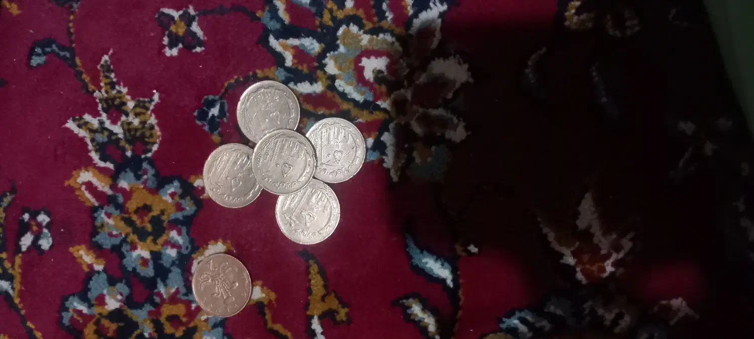 سکه|کلکسیون سکه، تمبر، اسکناس|تربت‌حیدریه, حاجی یار‎|دیوار