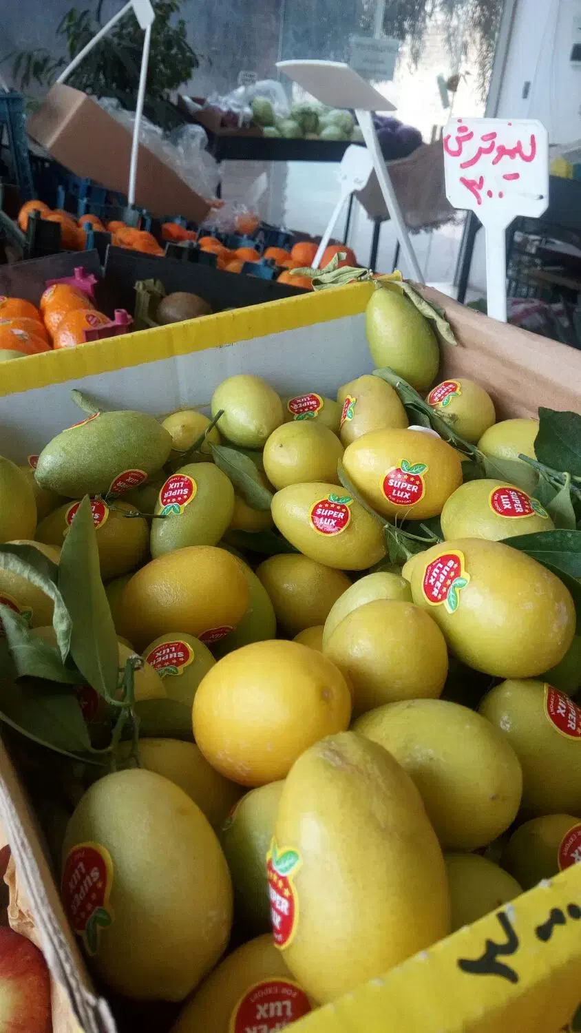 سبزی و میوه|خوردنی و آشامیدنی|کاشان, میدان کهنه|دیوار