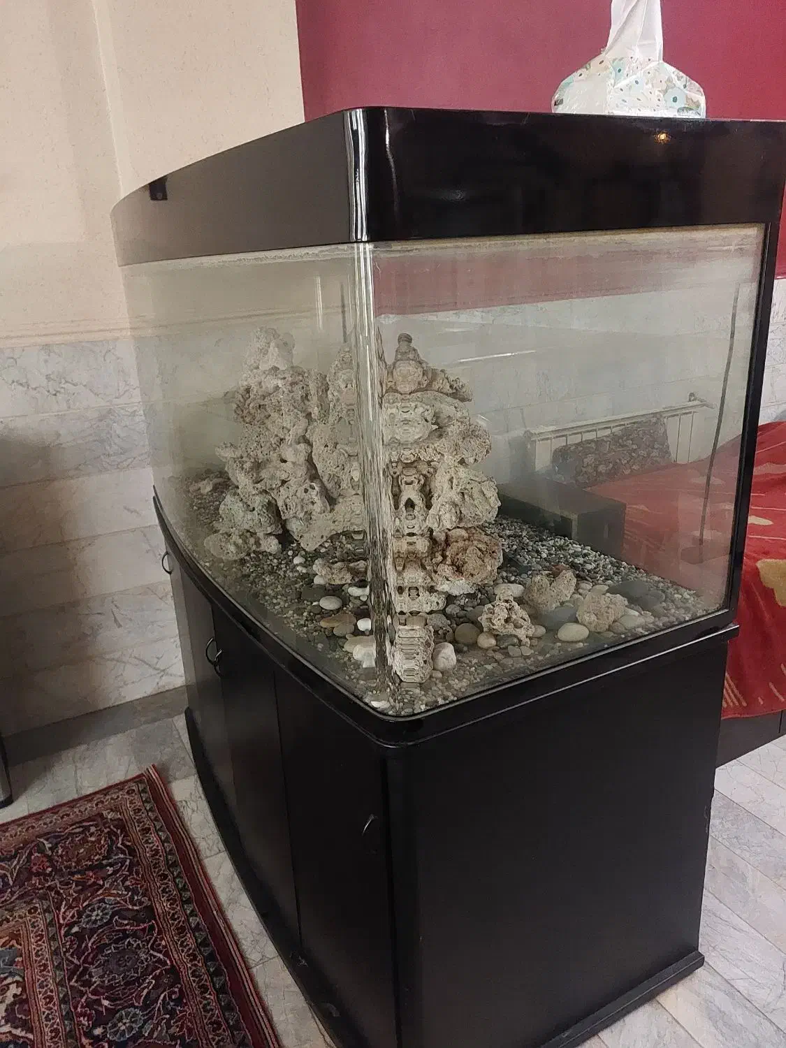 آکواریوم وارداتی|ماهی|تهران, فدک|دیوار