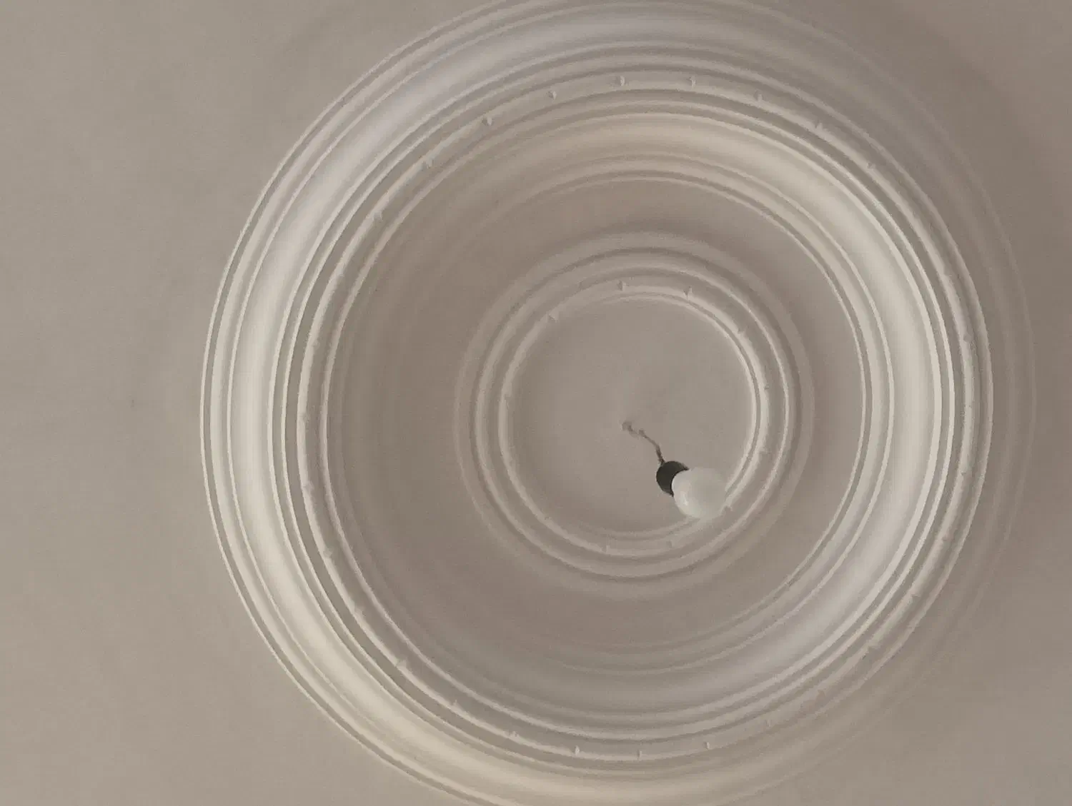 گج کار درجی بک سفید گجرخاک|مصالح و تجهیزات ساختمان|صائین قلعه, |دیوار