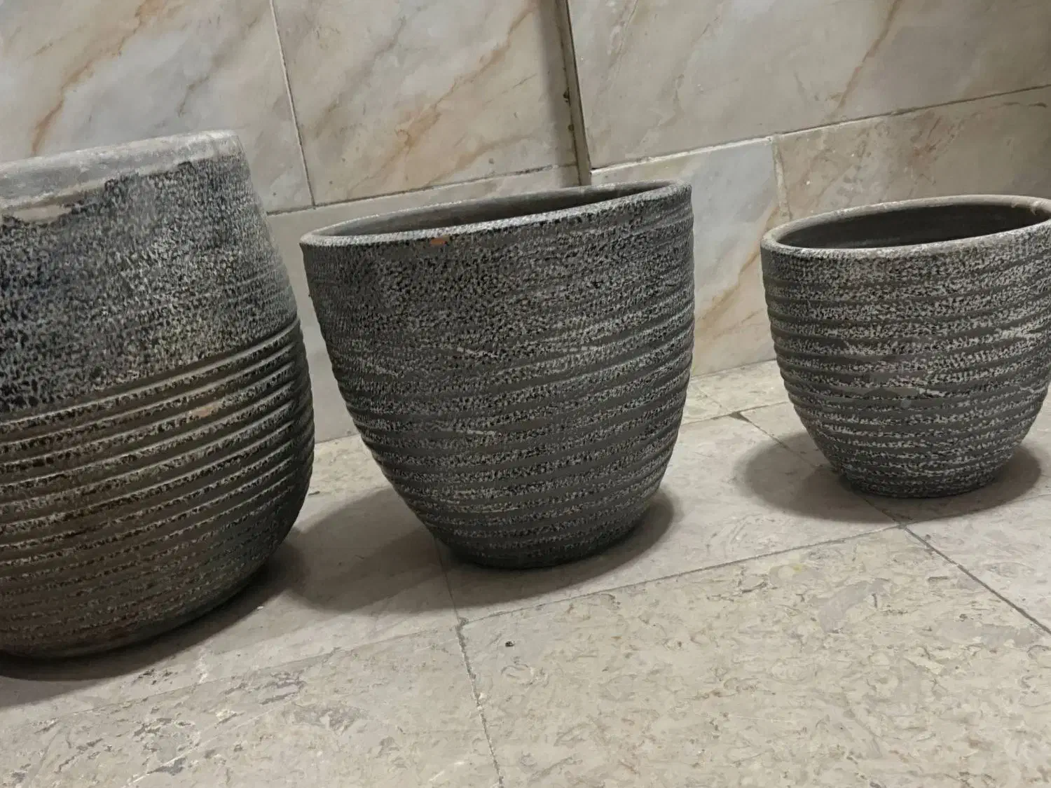 گلدان|گل و گیاه طبیعی|کرج, خرمدشت|دیوار