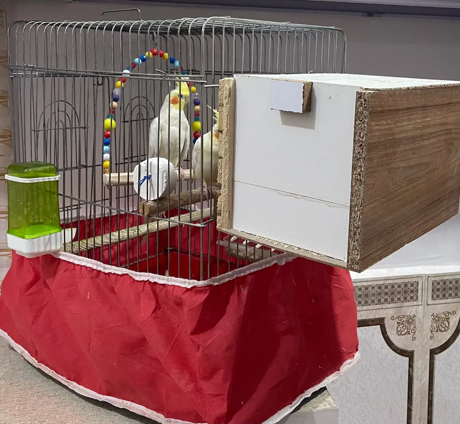 قفس|لوازم جانبی حیوانات|دزفول, |دیوار