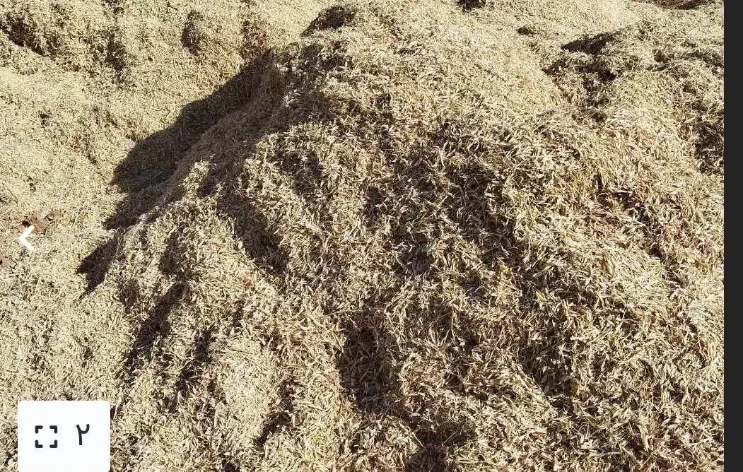 کاه گندم امسال|لوازم جانبی حیوانات|دیواندره, |دیوار