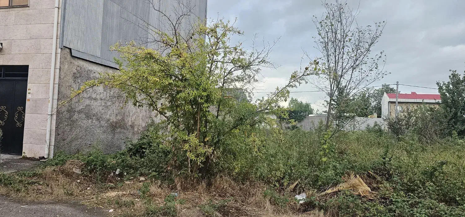 زمین ۱۳۶ متر-سندتک برگ-بلوارلاکان-شهرک احمدخمینی|فروش زمین و ملک کلنگی|رشت, شهرک احمد خمینی|دیوار