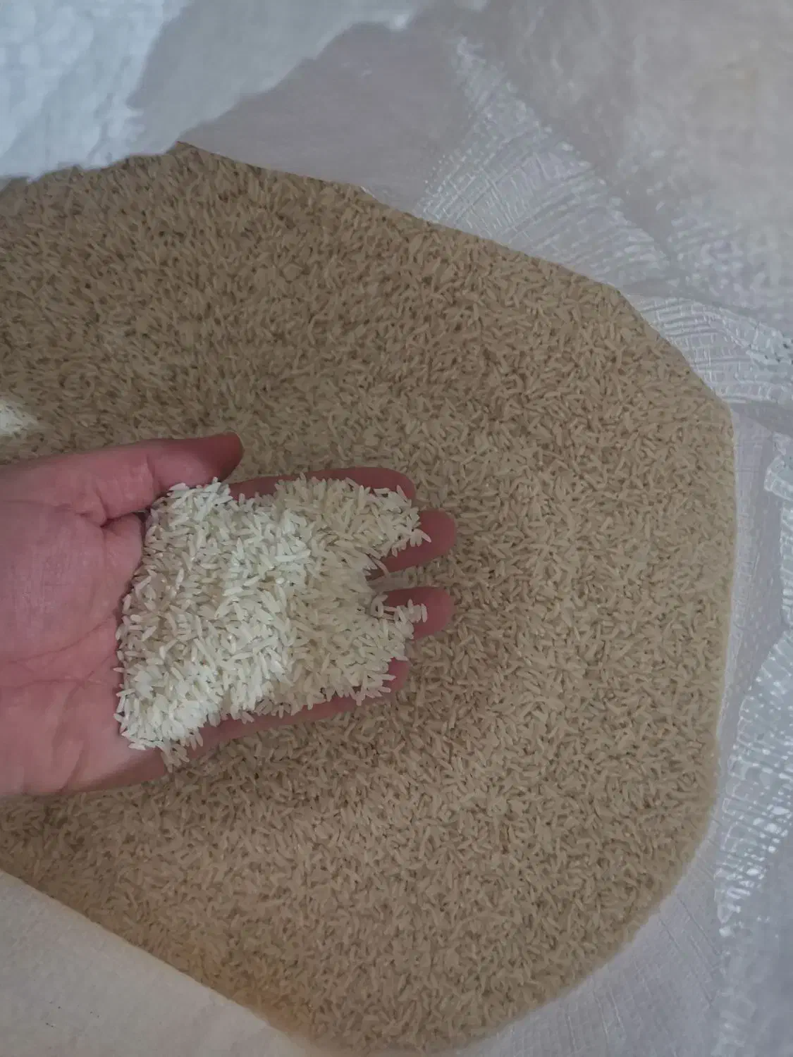 برنج درجه یک هاشمی شاهانه|خوردنی و آشامیدنی|کارون, |دیوار