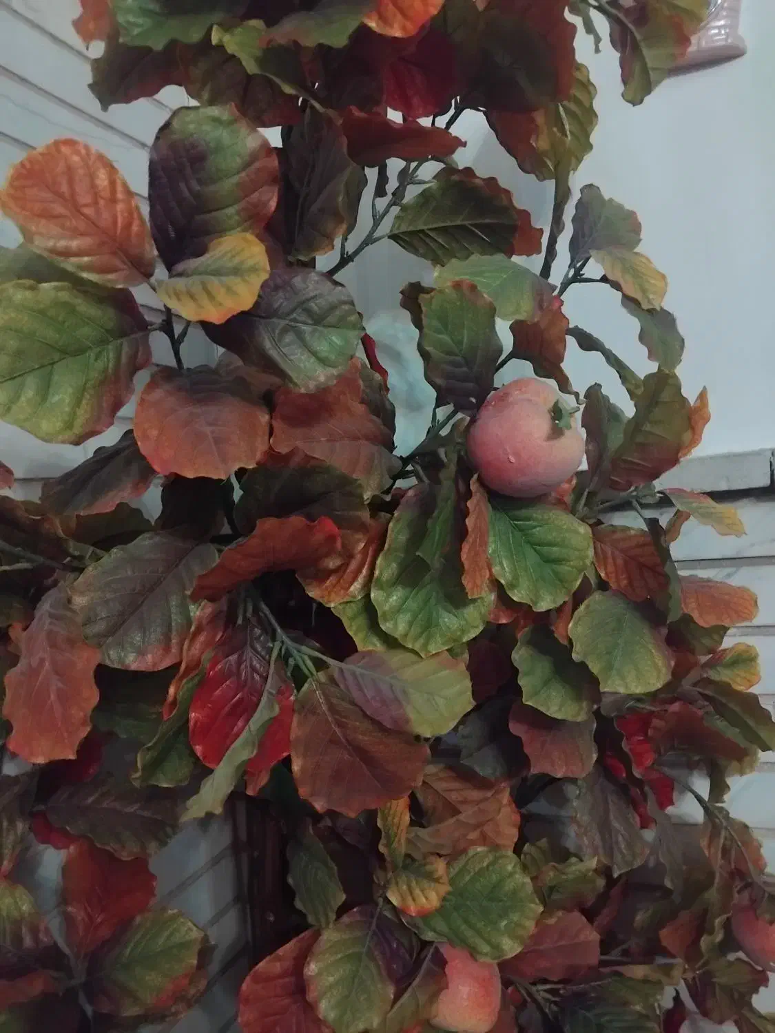 درختچه پاییزه|گل مصنوعی|تبریز, |دیوار