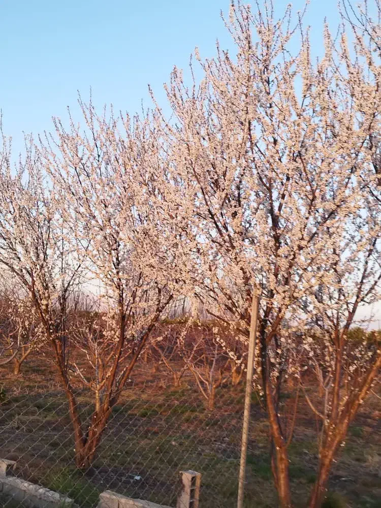 مغازه ۲۲ متری قارن|اجارهٔ مغازه و غرفه|ساری, |دیوار