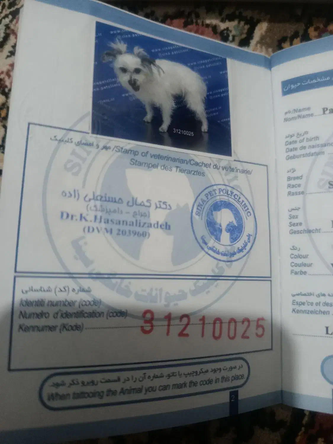 پا کوتا|سگ|تبریز, |دیوار