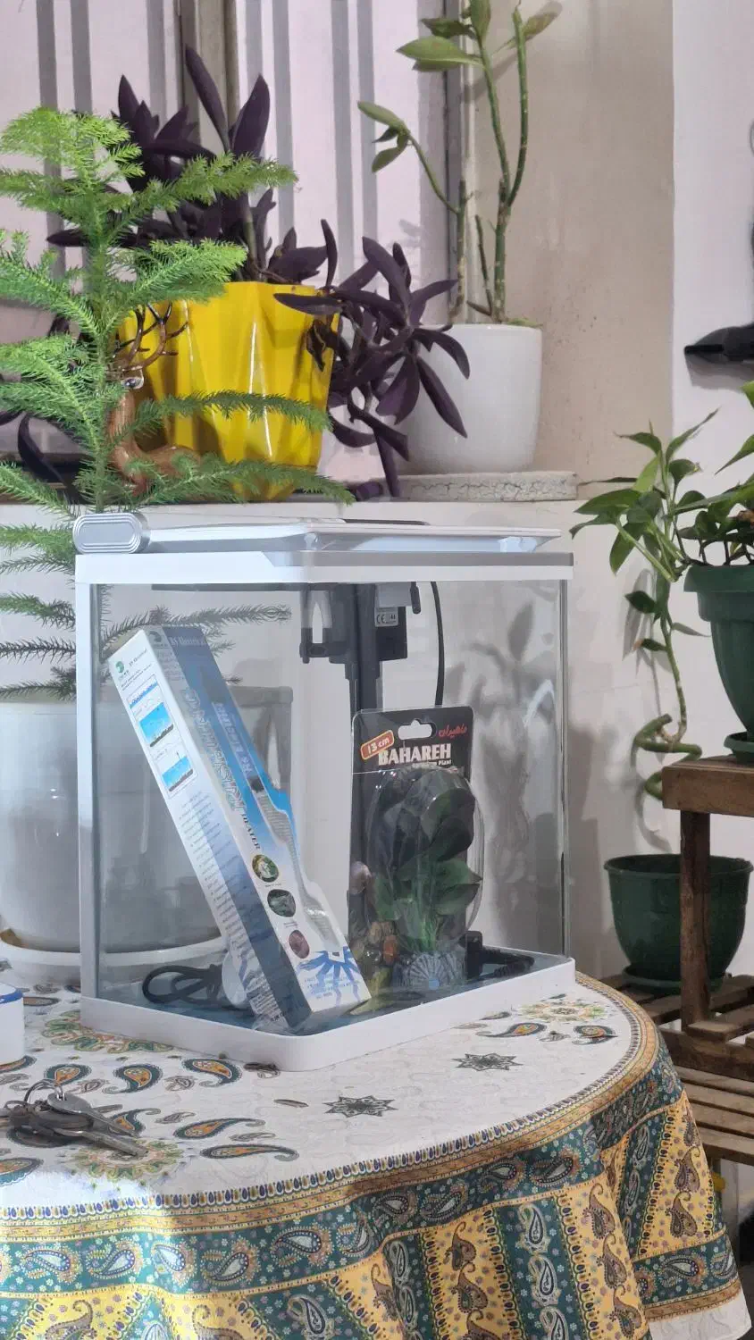 اکواریوم sobo اصلled|ماهی|زاهدان, |دیوار