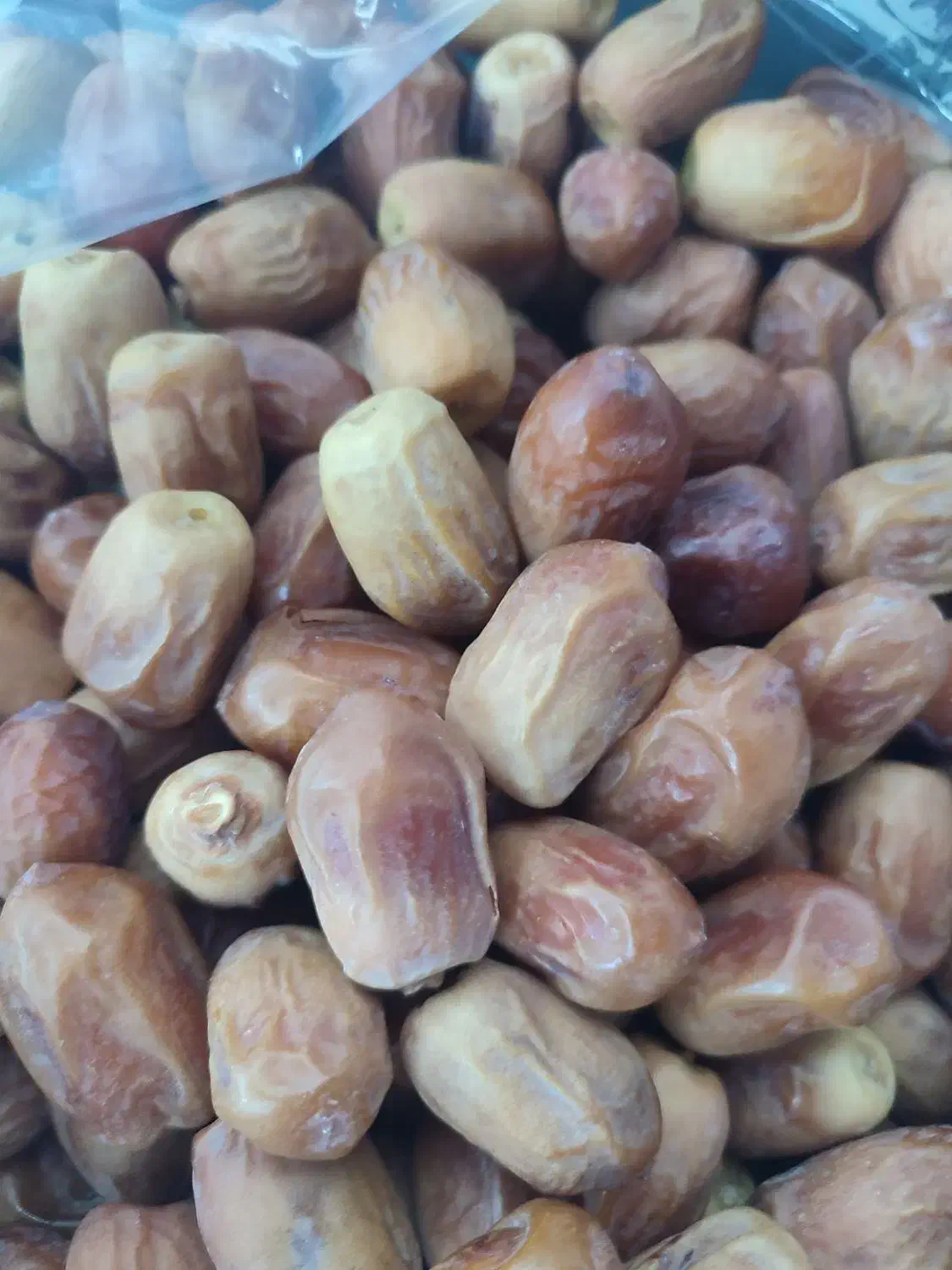 قصب نو وخرما|خوردنی و آشامیدنی|شیراز, احمدآباد|دیوار