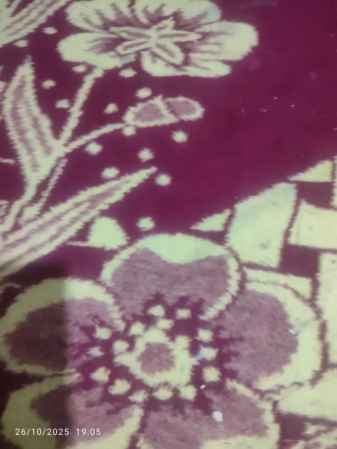 گمشده|حیوانات|اسلام‌‌آباد غرب, |دیوار