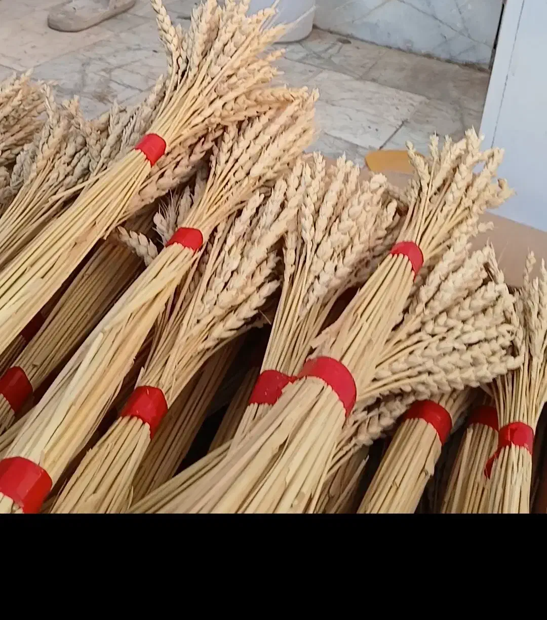 خوشه گندم سنبل هفت سین|گل و گیاه طبیعی|تهران, دروس|دیوار