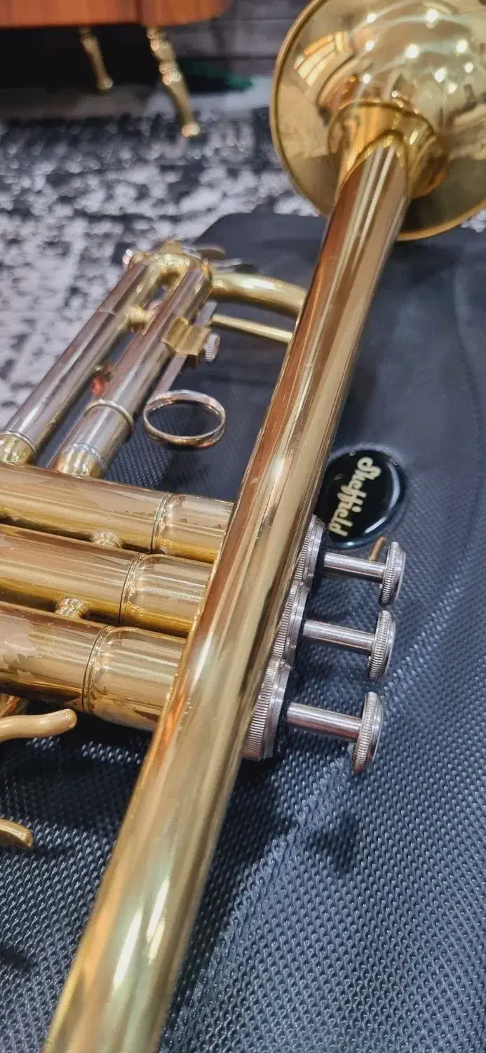 فروشی 13تومان|سازهای بادی|فلاورجان, |دیوار