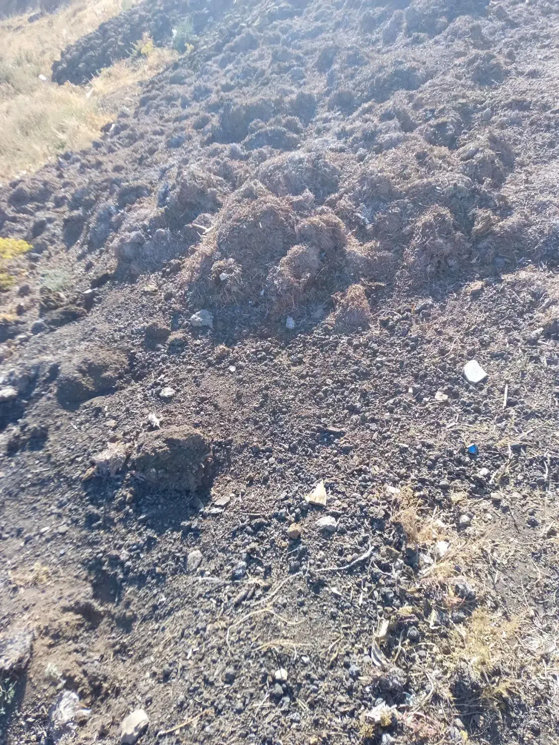 کود کمپوست قارچ|خدمات باغبانی و درختکاری|کلیائی, |دیوار