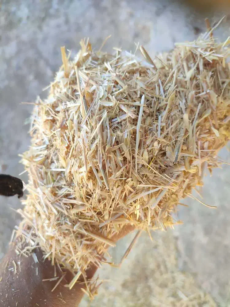 کاه گندم درجه یک|حیوانات مزرعه|رونیز, |دیوار