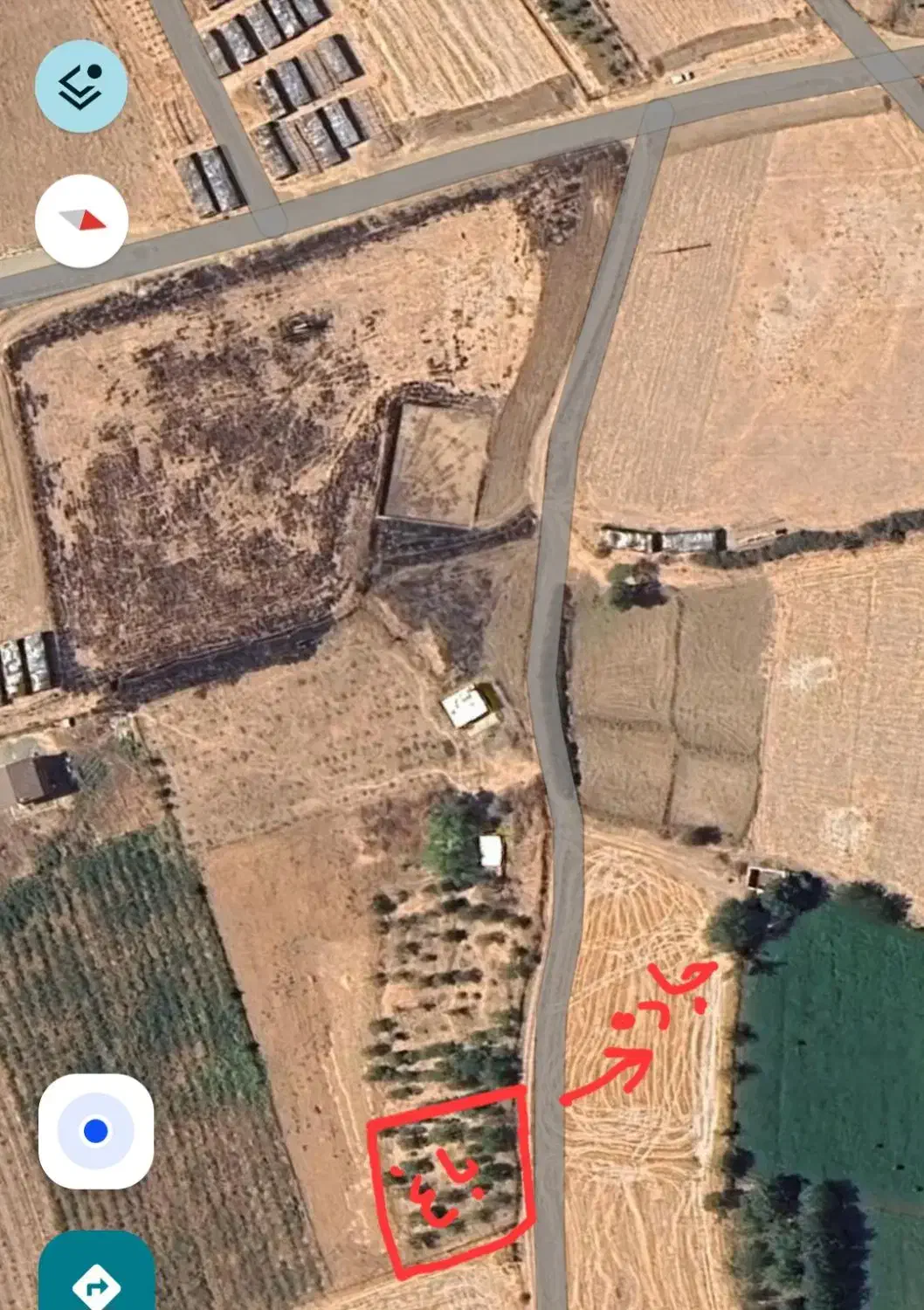 باغ در برده رشه با درختان بزرگ|فروش زمین و ملک کلنگی|خاو و میرآباد, |دیوار