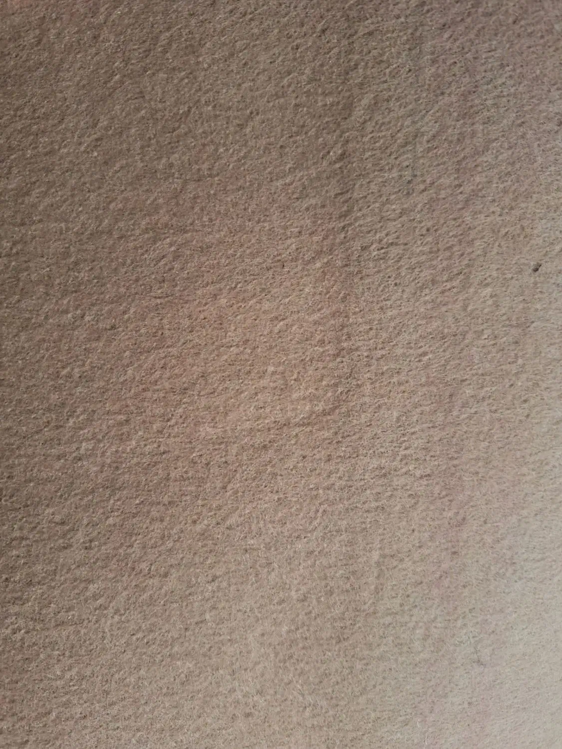 موکت رنگ قهوه ای روشن|موکت|تربت جام, یحیی آباد|دیوار