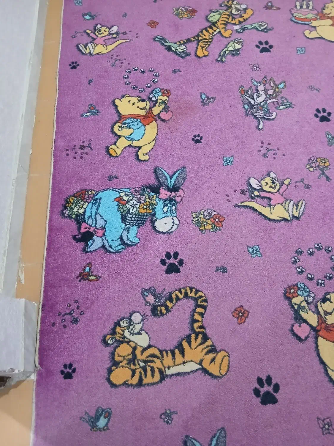 ۱۲مترپالازموکت|موکت|کرمانشاه, |دیوار