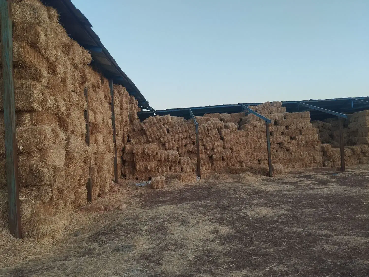 فروش پرس کاه و کلش کیلویی۸۵۰۰|حراج|روانسر, |دیوار