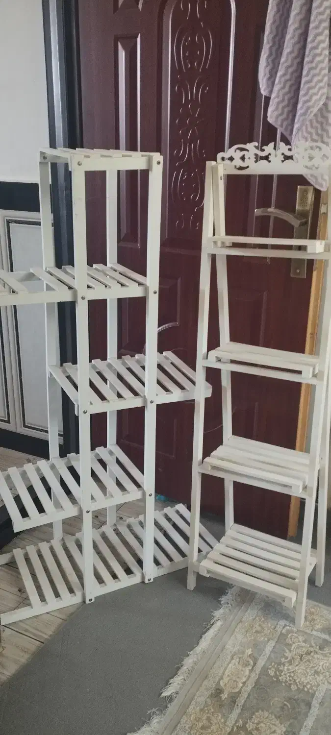 شلف گل|کتابخانه، شلف، قفسه‌های دیواری|مهاباد (آذربایجان غربی), |دیوار