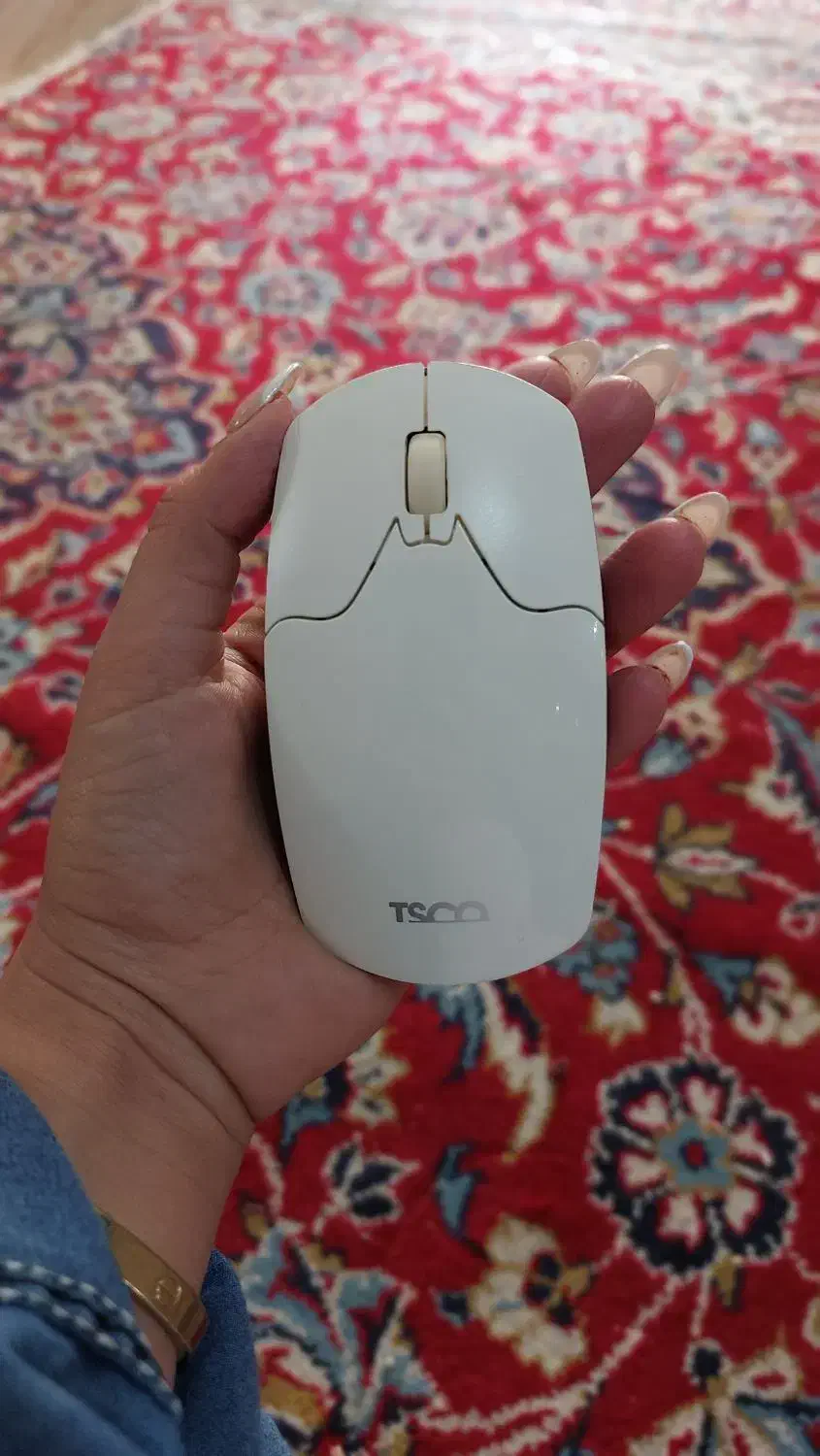 موس بی سیم|قطعات و لوازم جانبی رایانه|شیراز, سعدیه شمالی|دیوار