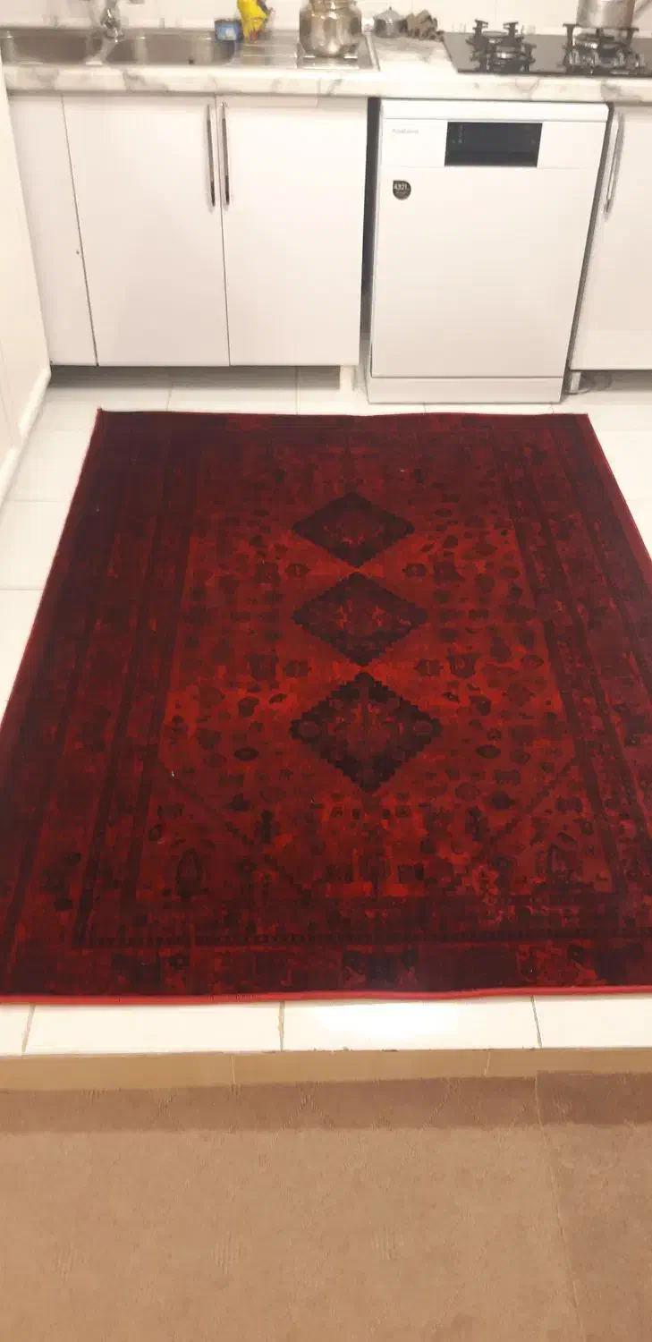 فرش نو|فرش|زنجان, |دیوار