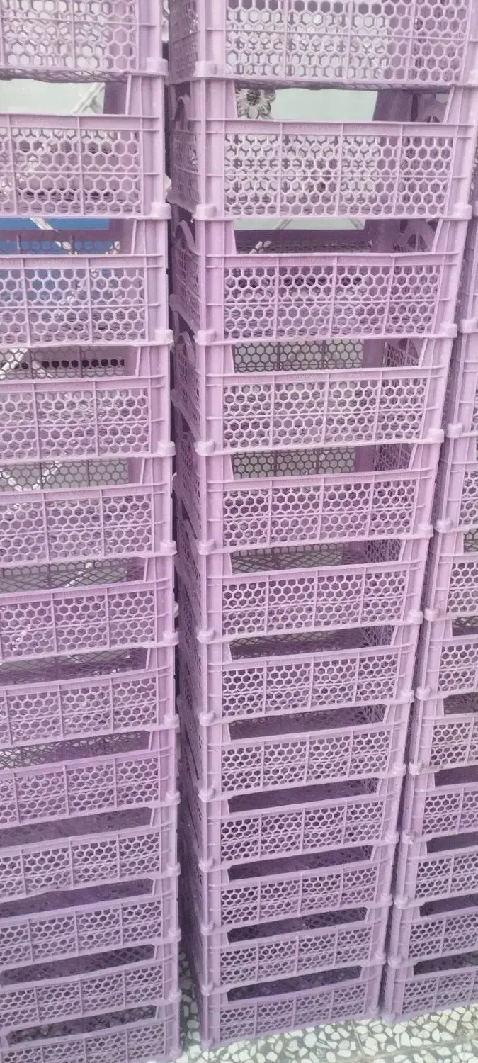 سبد میوه|ظروف نگهدارنده، پلاستیکی، یک‌بارمصرف|مرودشت, استادیوم‎|دیوار