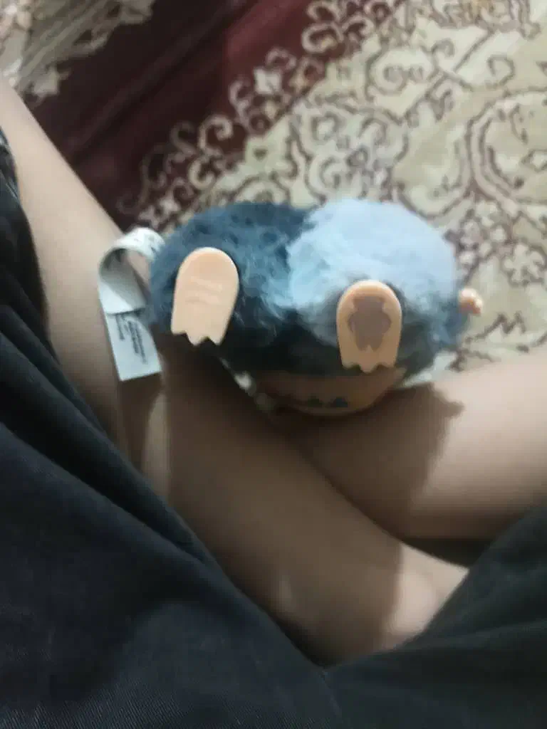 لبوبو|اسباببازی|یاسوج, |دیوار