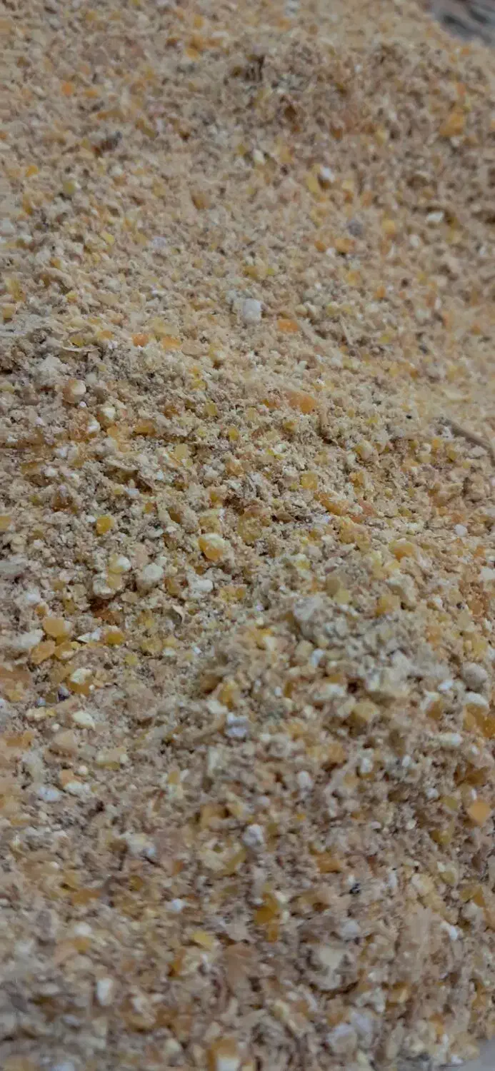 دان بوقلمون|حیوانات مزرعه|مبارکه, |دیوار