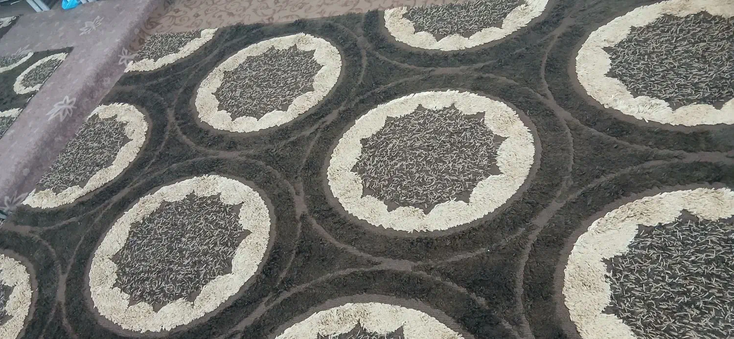 فرش فانتزی ۶ متری|فرش|تهران, شهرک ابوذر|دیوار