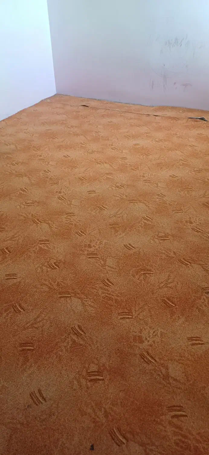 موکت پالاز ۶۰ متر در حد نو|موکت|بندرعباس, |دیوار