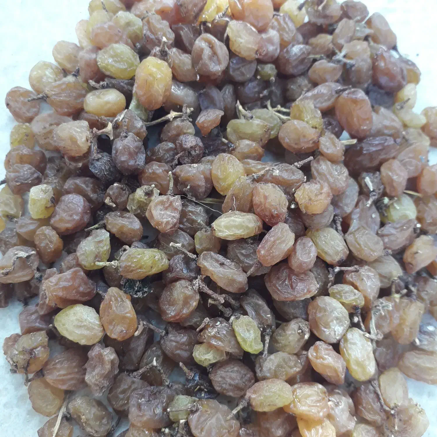 کشمش‌درجه‌۲۲۰‌تومن|خوردنی و آشامیدنی|شیروان (خراسان), |دیوار