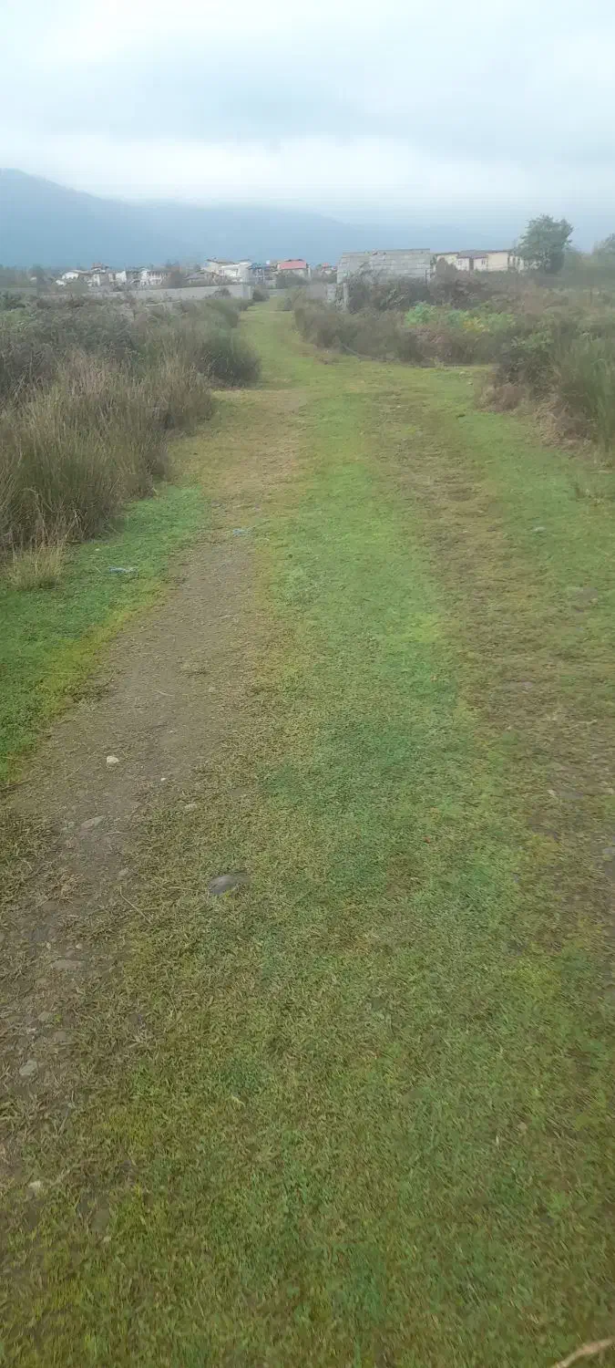 ۳۳۰ متری دوبر باغی هلوکله شمشاد کاسبی|فروش زمین و ملک کلنگی|چابکسر, |دیوار