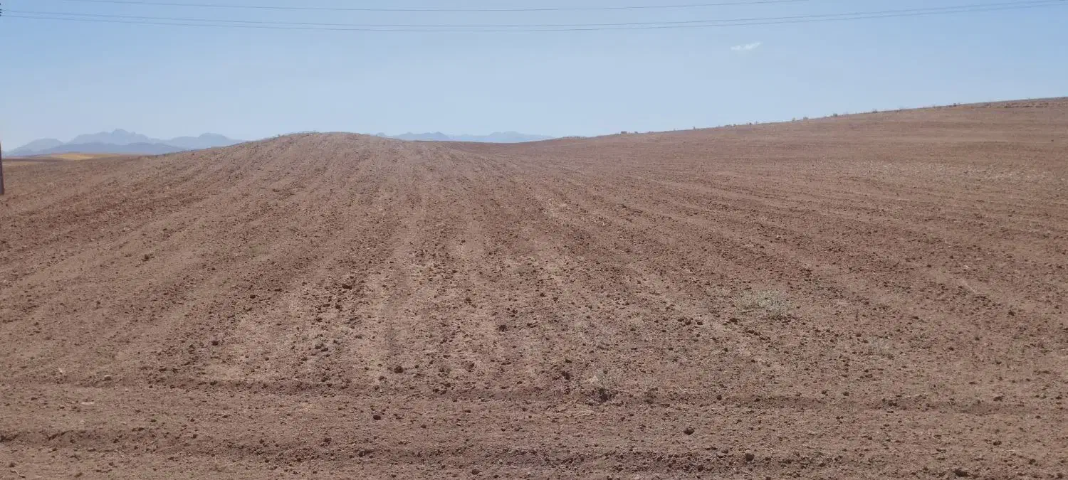 زمین دیم شخم شده وپنجه زده شده اجاره داده میشود|اجارهٔ دفتر صنعتی، کشاورزی، تجاری|زنجانرود, |دیوار