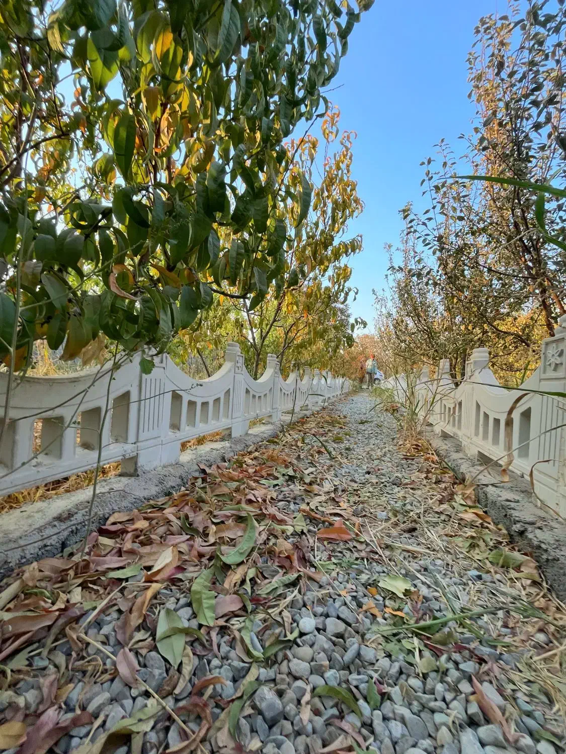 باغ (آلاچیق و باربیکیو)اطراف ساخته شده سرسبز و دنج|فروش زمین و ملک کلنگی|اسلامشهر, شهرک احمدیه|دیوار