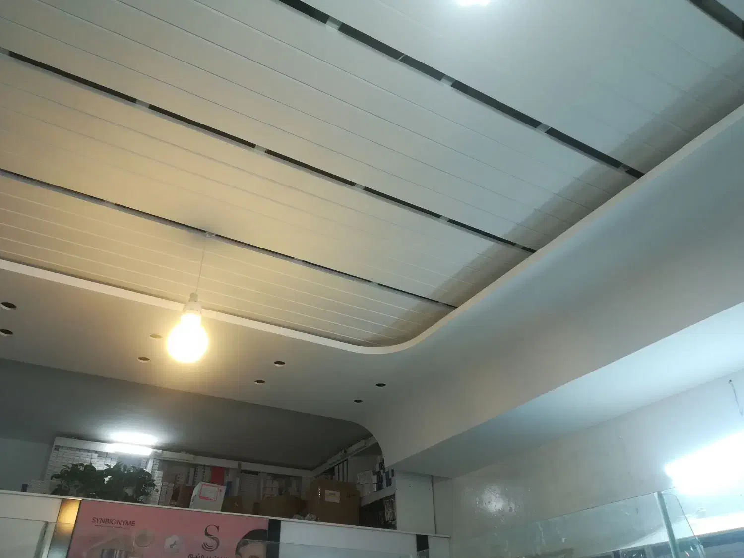 نقاش ساختمان|خدمات پیشه و مهارت|سبزوار, قصبه شرقی|دیوار