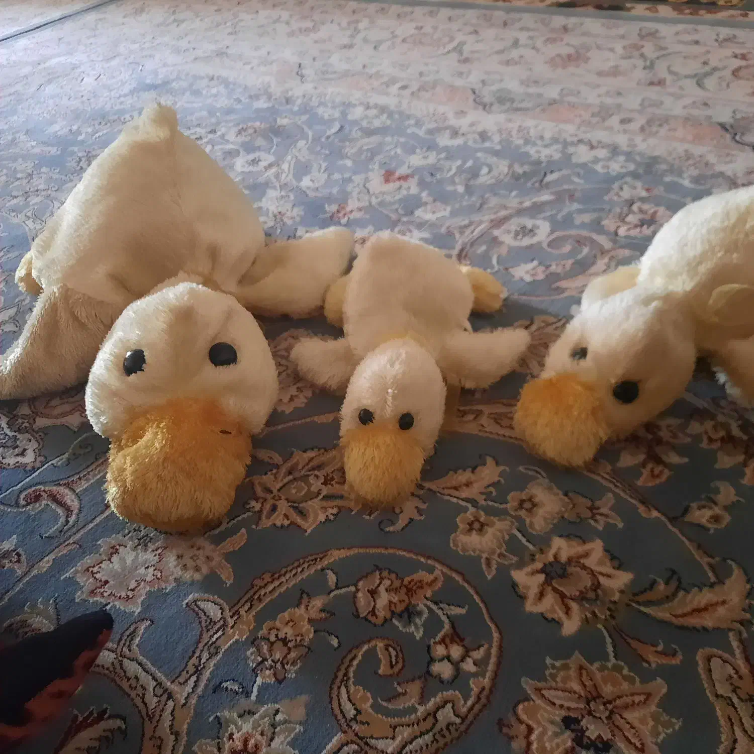 عروسک|اسباب‌بازی بچه|ری, عباس‌آباد|دیوار